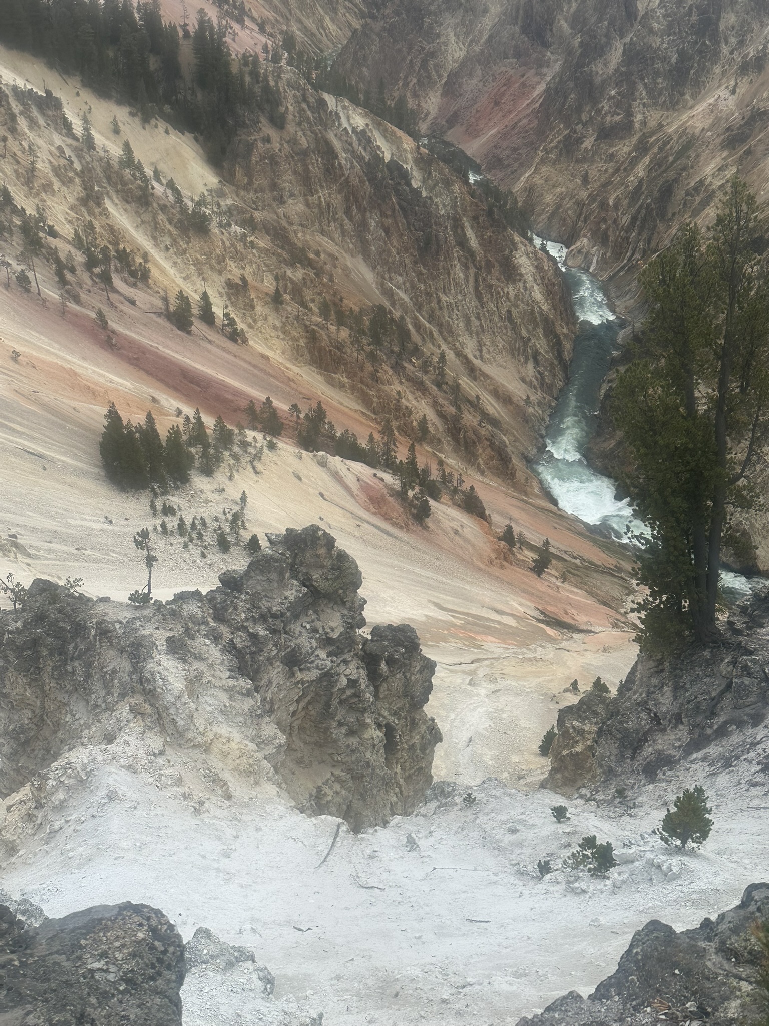 Yellowstone And Grand Teton National Parks - Image 641